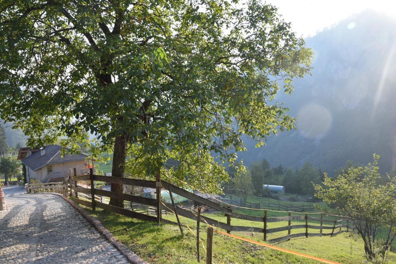 Agriturismo Athabaska San Lorenzo Dorsino Exteriér fotografie